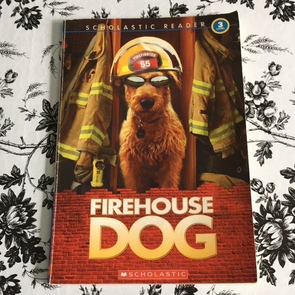 Scholastic Reader Level 3 Firehouse Dog Book Danielle Danega 2007